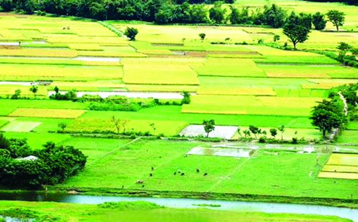 ঋতু বৈচিত্রের বাংলাদেশ - image